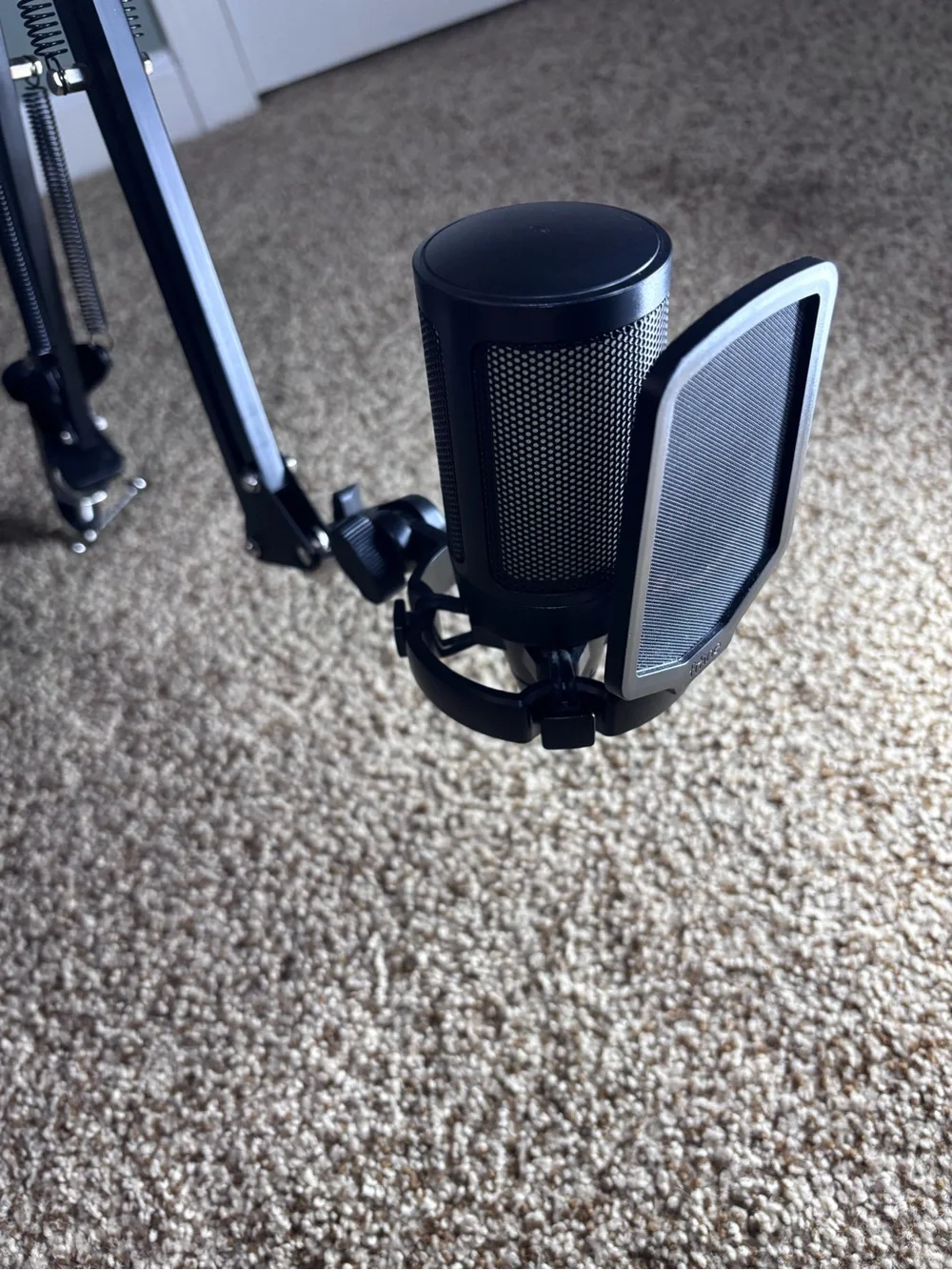 Professional Black Microphone with Adjustable Boom Arm